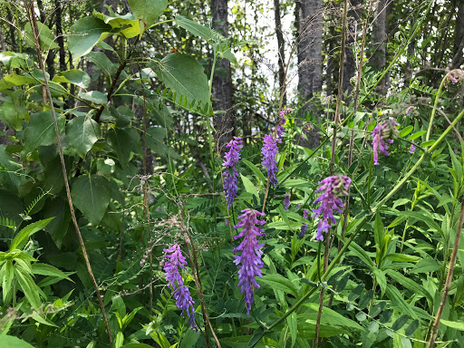 Home Improvement Store «Tractor Supply Co.», reviews and photos, 337 North St, Houlton, ME 04730, USA