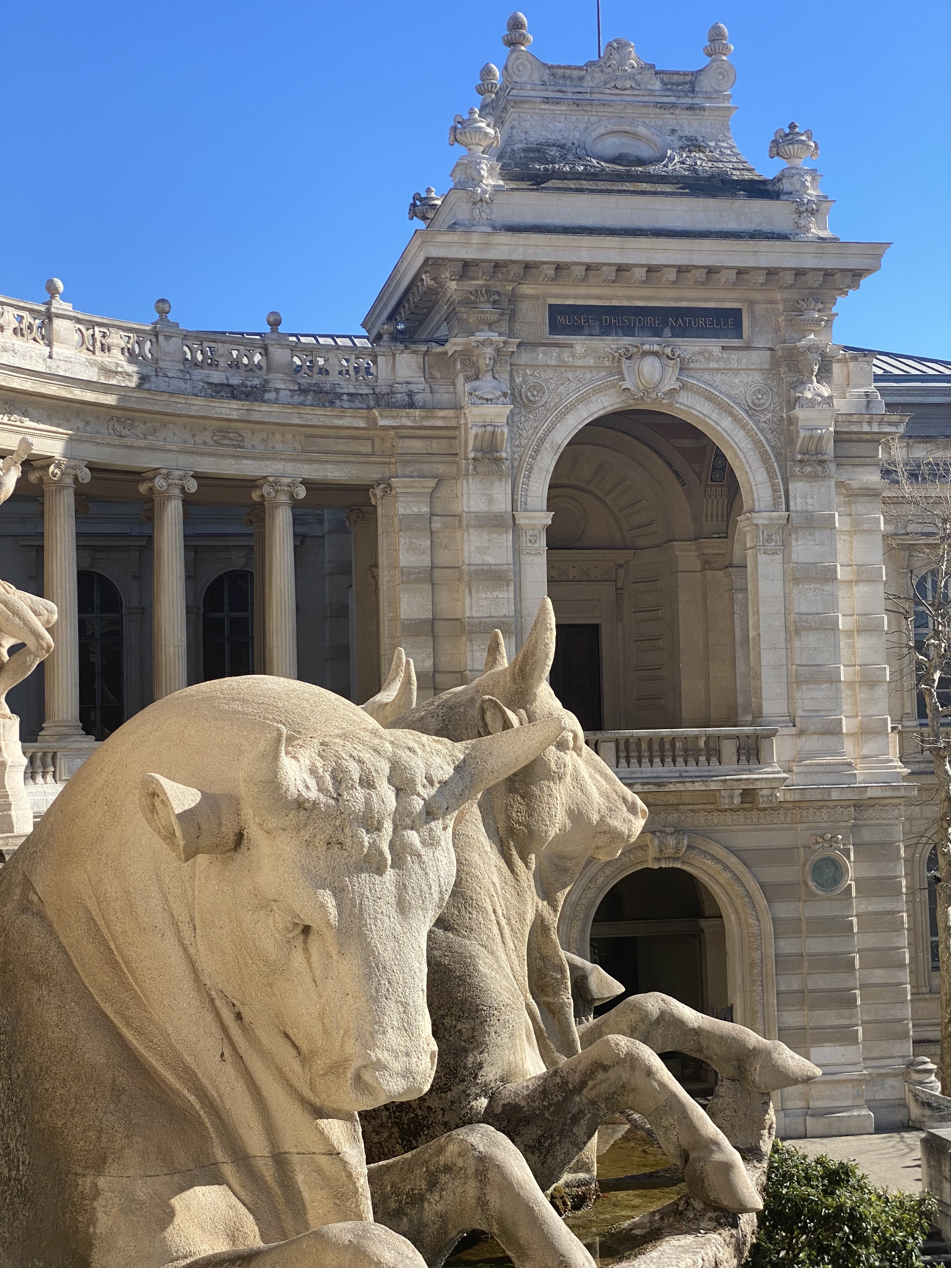 Photo n° 1 de l'avis de Charlie.a fait le 13/03/2024 à 08:13