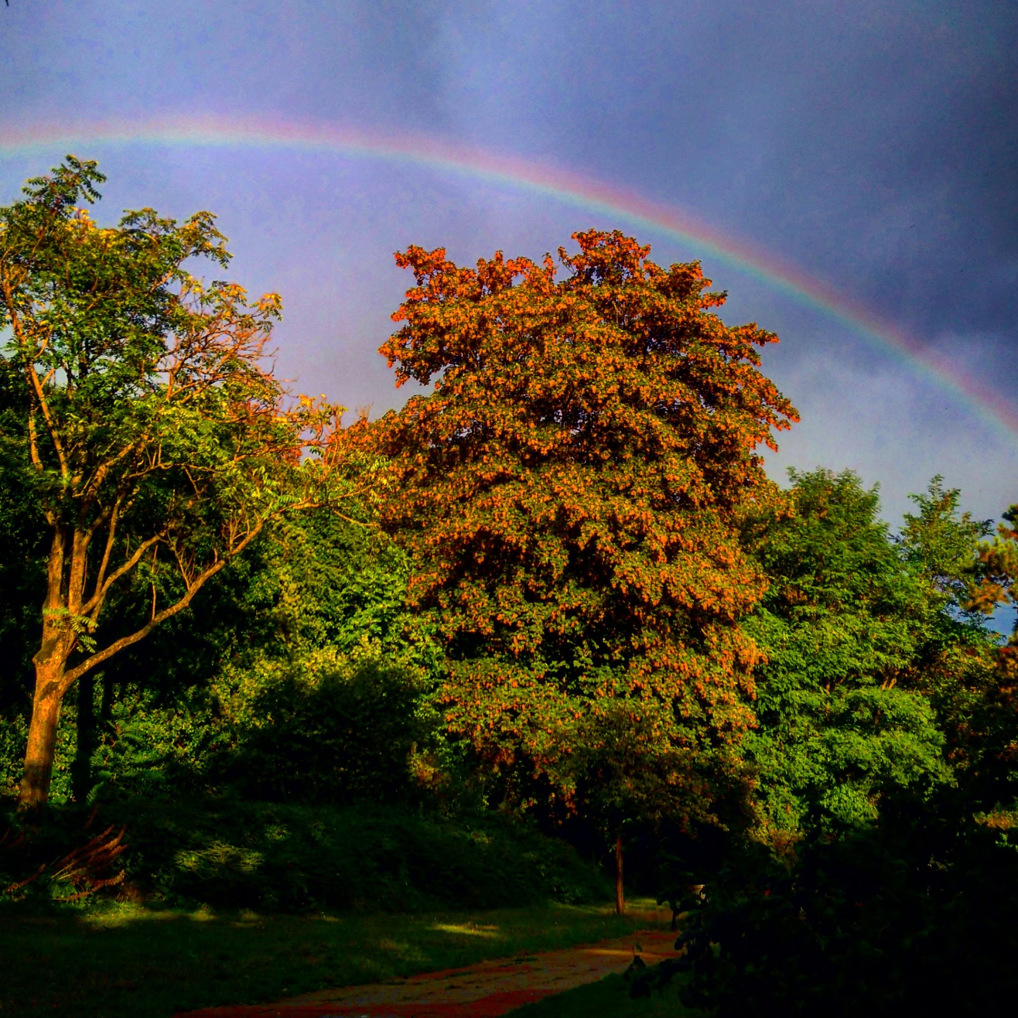 Photo n° 1 de l'avis de Thaïs.a fait le 07/01/2017 à 08:53