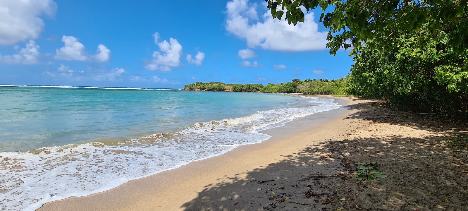 Plage de La Breche的照片 具有有点干净级别的清洁度