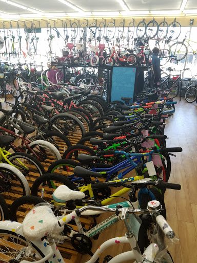 Bicycle Store «Mineola Bicycle, Fitness & Mower», reviews and photos, 475 Jericho Turnpike, Mineola, NY 11501, USA