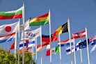 Global Language Translation Services