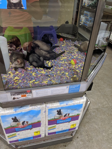 Pet Supply Store «Petco Animal Supplies», reviews and photos, 1215-1309 NJ-33 #1, Hamilton Township, NJ 08690, USA