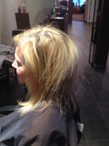 Hair Salon «Sahara Hair Salon», reviews and photos, 435 Amwell Rd #9, Hillsborough Township, NJ 08844, USA