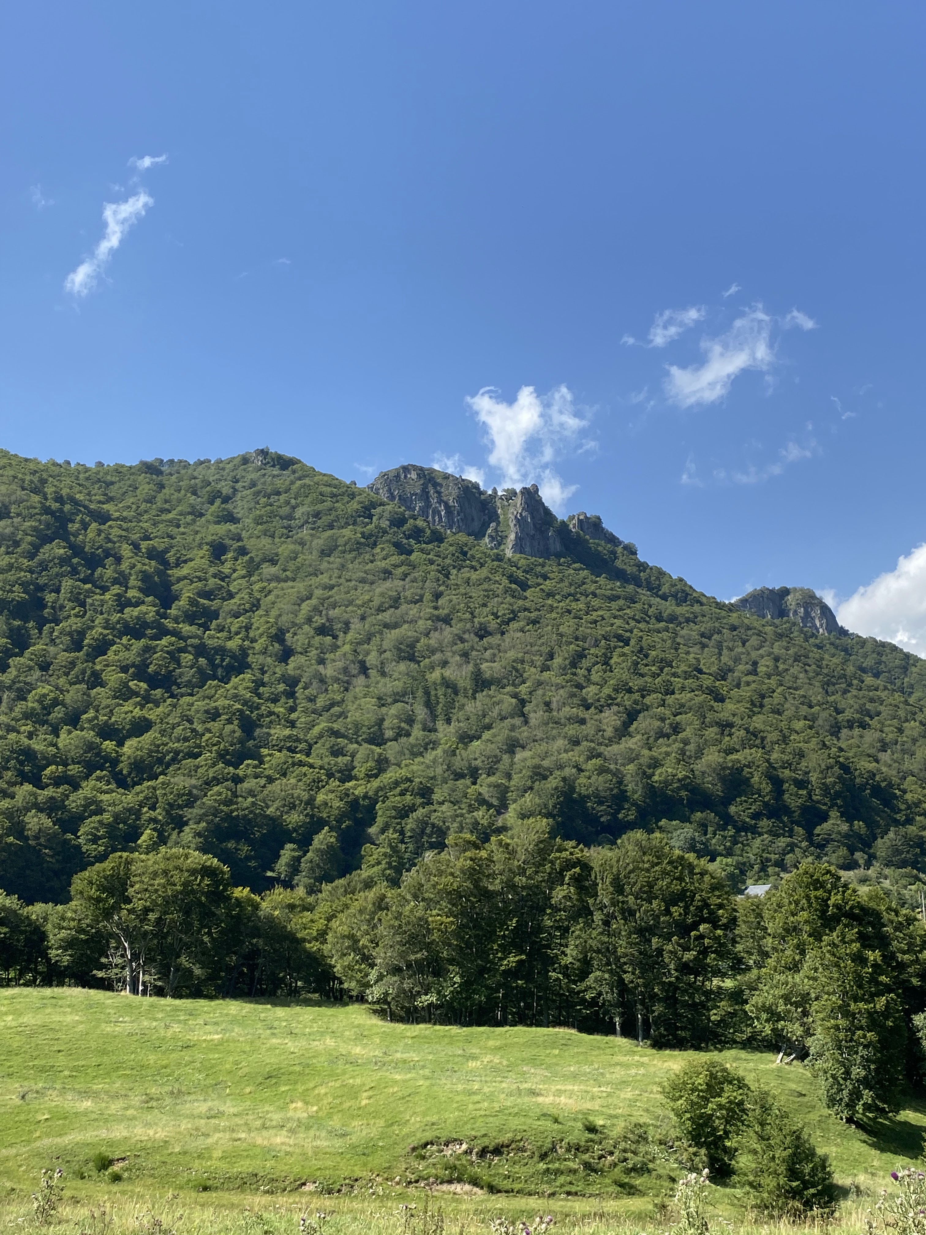 Photo n° 1 de l'avis de Michel.o fait le 17/08/2021 à 16:52