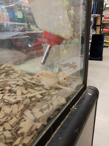 Pet Store «Delhi Pet Center», reviews and photos, 5665 Rapid Run Rd, Cincinnati, OH 45238, USA
