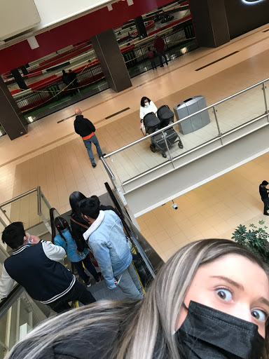 Tourist Attraction «Palisades Climb Adventure Ropes Course», reviews and photos, 4590 Palisades Center Dr, West Nyack, NY 10994, USA