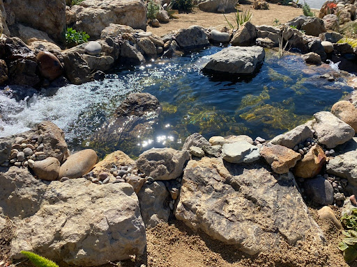DreamScapes Water Features & Landscape image