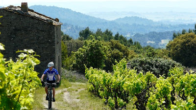 Domaine Fontanille Haut à Laure-Minervois