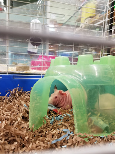 Pet Store «Just Pets», reviews and photos, 393 NY-5, Irving, NY 14081, USA