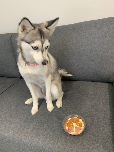 Insurance Agency «Jeff Burtis - State Farm Insurance Agent», reviews and photos