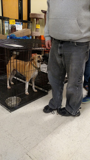 Pet Supply Store «PetSmart», reviews and photos, 2003 N Eastman Rd, Kingsport, TN 37660, USA