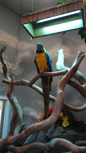 Pet Supply Store «PetKraze», reviews and photos, 100 Independent Way, Brewster, NY 10509, USA