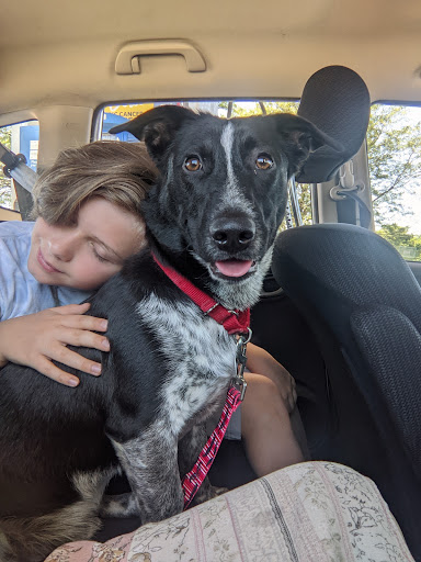 Pet Supply Store «Four Legs Pets Gilberts», reviews and photos, 133 E Higgins Rd, Gilberts, IL 60136, USA