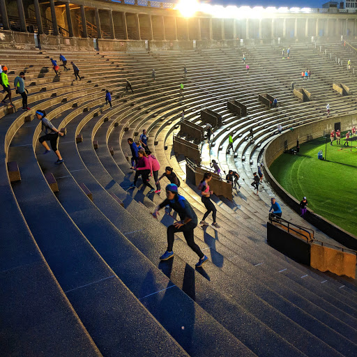 Stadium «Harvard Stadium», reviews and photos, 79 N Harvard St, Allston, MA 02134, USA