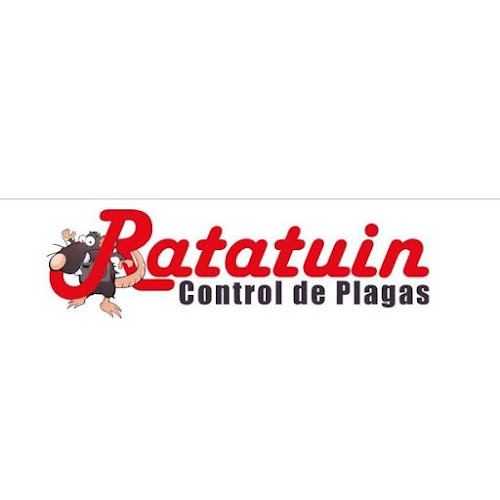 Opiniones de Ratatuin Ltda en Puerto Montt - Empresa de fumigación y control de plagas