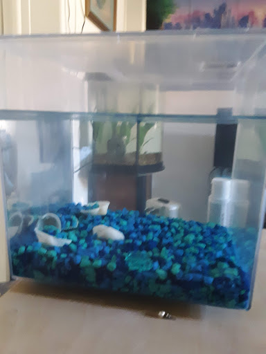 Pet Store «Pet Supermarket», reviews and photos, 2542-2598 S Washington Ave, Titusville, FL 32780, USA