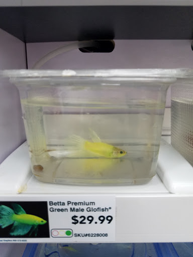 Pet Supply Store «Pet Supermarket», reviews and photos, 501 Cypress Gardens Blvd, Winter Haven, FL 33880, USA