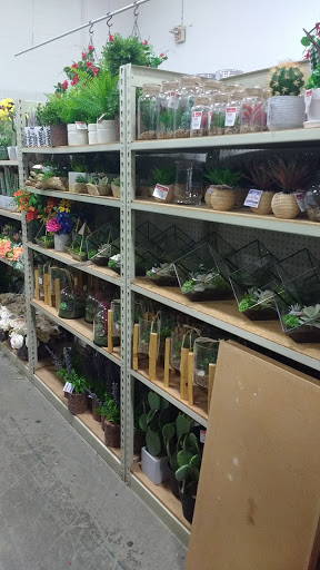 Shopping Mall «Rookwood Commons Shopping Center», reviews and photos, 3805 Edwards Rd, Cincinnati, OH 45209, USA