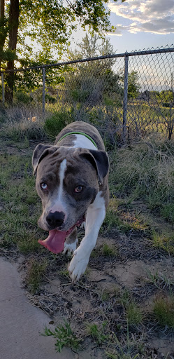 Golf Course «Walking Stick Golf Course», reviews and photos, 4301 Walking Stick Blvd, Pueblo, CO 81001, USA