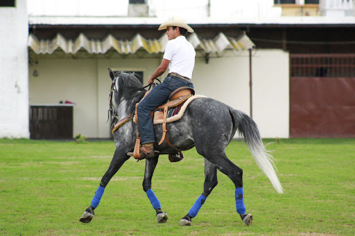 Centro ecuestre granja Lolita