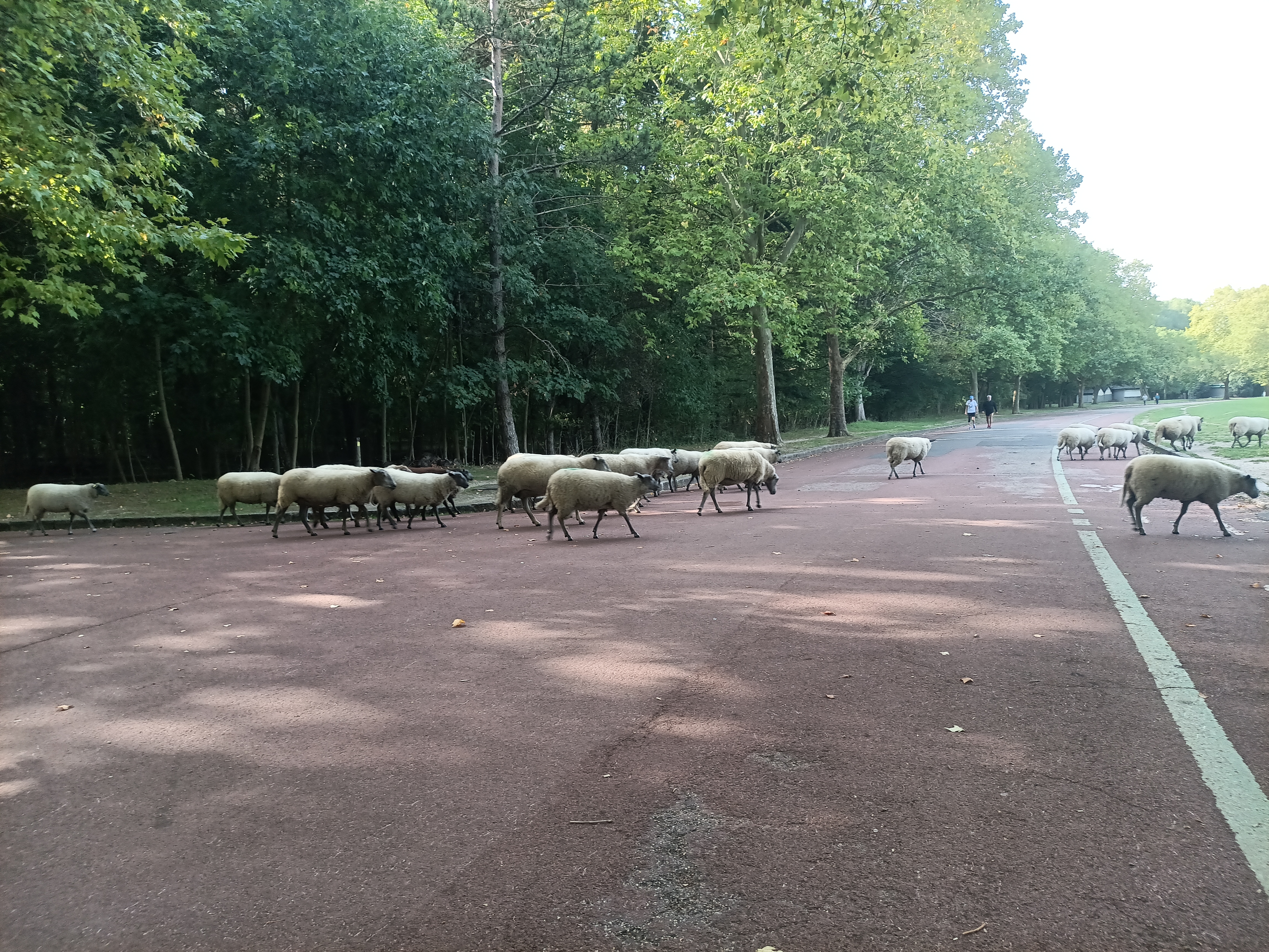 Photo n° 6 de l'avis de ini.e fait le 29/07/2023 à 12:14