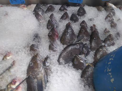 Seafood Market «Asc Foodstore & Fresh Seafood», reviews and photos, 486 Magnolia St, Spartanburg, SC 29303, USA