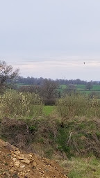 Photo n°15 de Le Saint-Plaisir à Saint-Plaisir ()