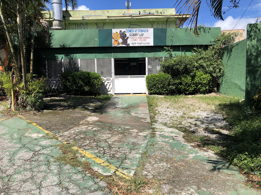 Scooby Loo Veterinário em São Paulo - SP