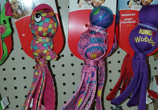 Pet Supply Store «Pet Supplies Plus», reviews and photos, 1960 Jericho Turnpike, East Northport, NY 11731, USA