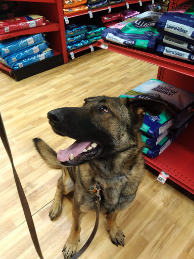 Pet Supply Store «Petco Animal Supplies», reviews and photos, 25 Hazard Ave, Enfield, CT 06082, USA