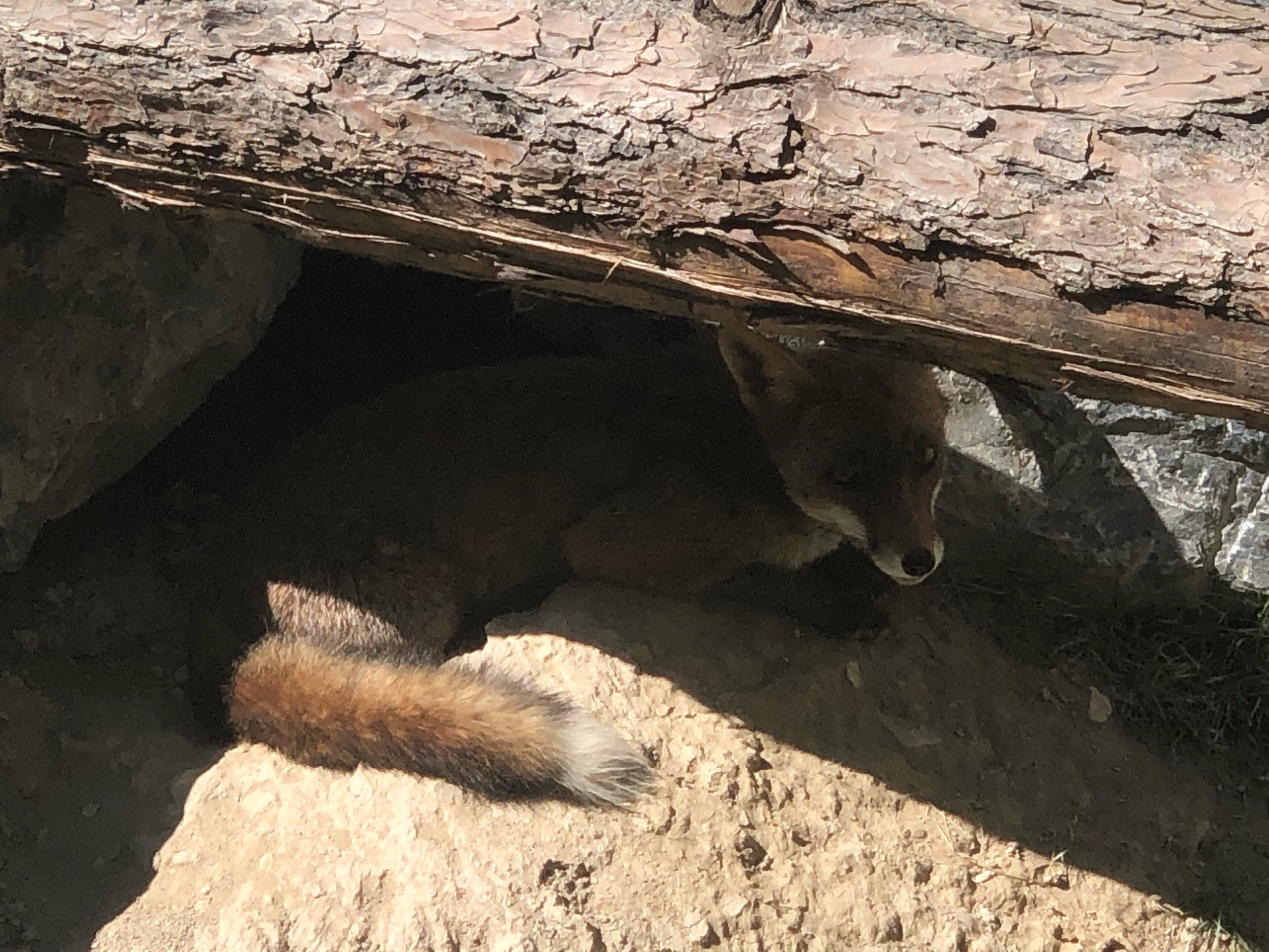 Photo n° 13 de l'avis de Jérémie.r fait le 28/08/2020 à 17:19