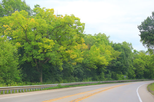 Archery Range «Cimmarron Archery», reviews and photos, 9201 US-12, Richmond, IL 60071, USA