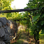 Photo n°2 de l'avis de Alexandre.o fait le 08/09/2021 à 19:33 sur le  Quinta de CasalMato à Resende