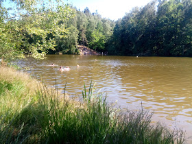 Mlýnský rybník (Teichmühle)