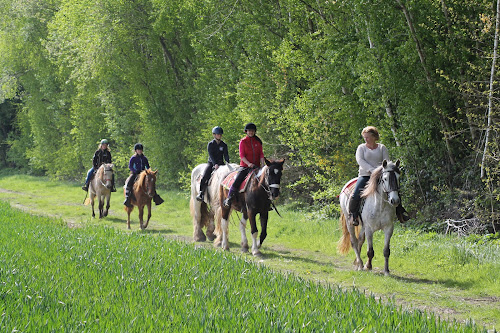 attractions Trotte la Vivelle - Centre de Tourisme Equestre - Poney Club Guerfand