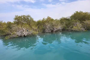 Hara Mangrove forest protected area image