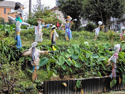 板橋区立水車公園