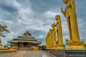 Nelligala International Buddhist Centre image