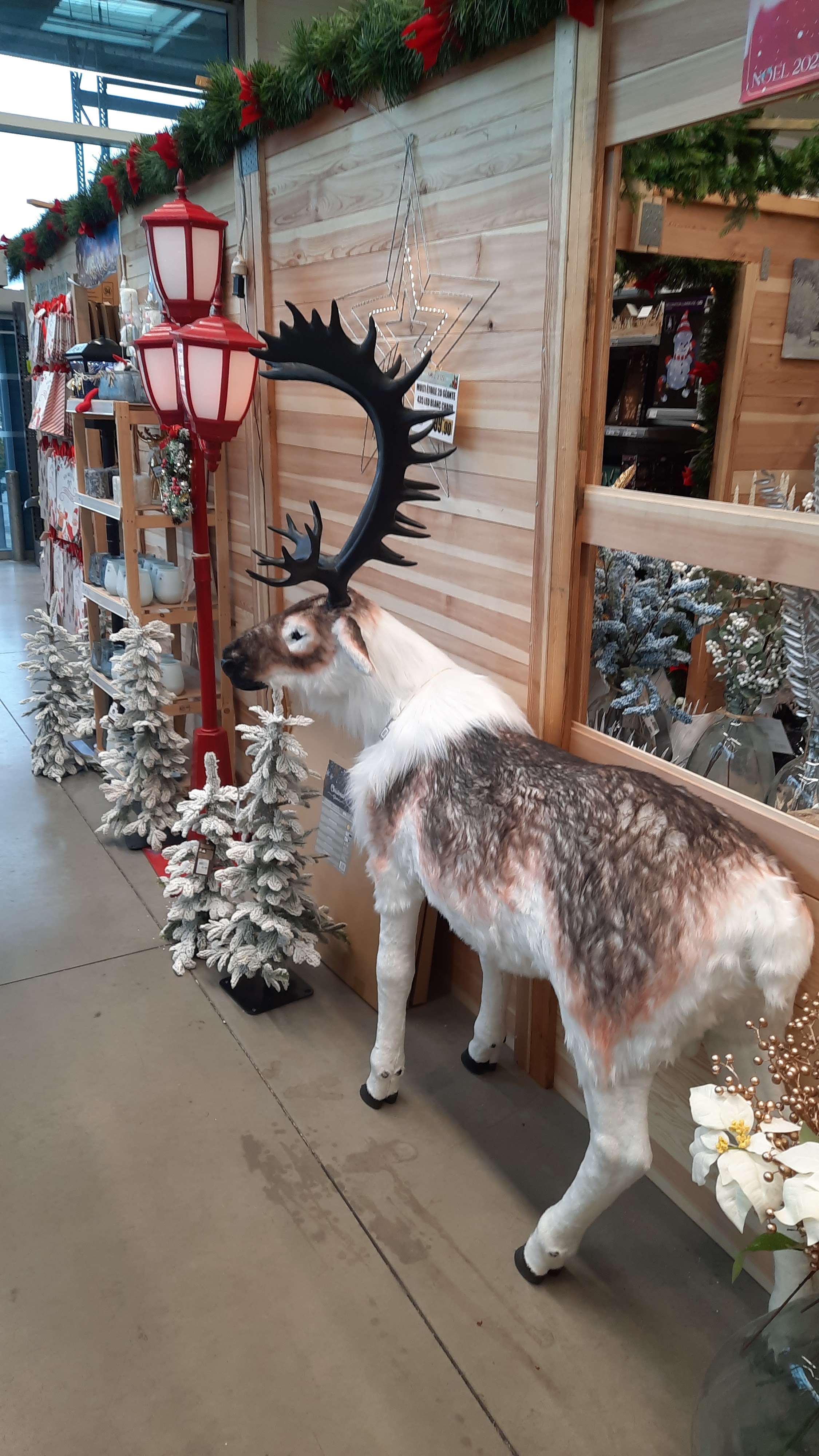 Photo n° 2 de l'avis de A..o fait le 07/10/2023 à 08:12