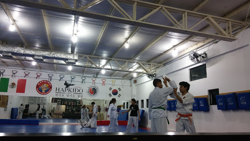 Hapkido lessons Monterrey