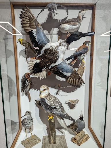 Museum «Pacific Grove Museum of Natural History», reviews and photos