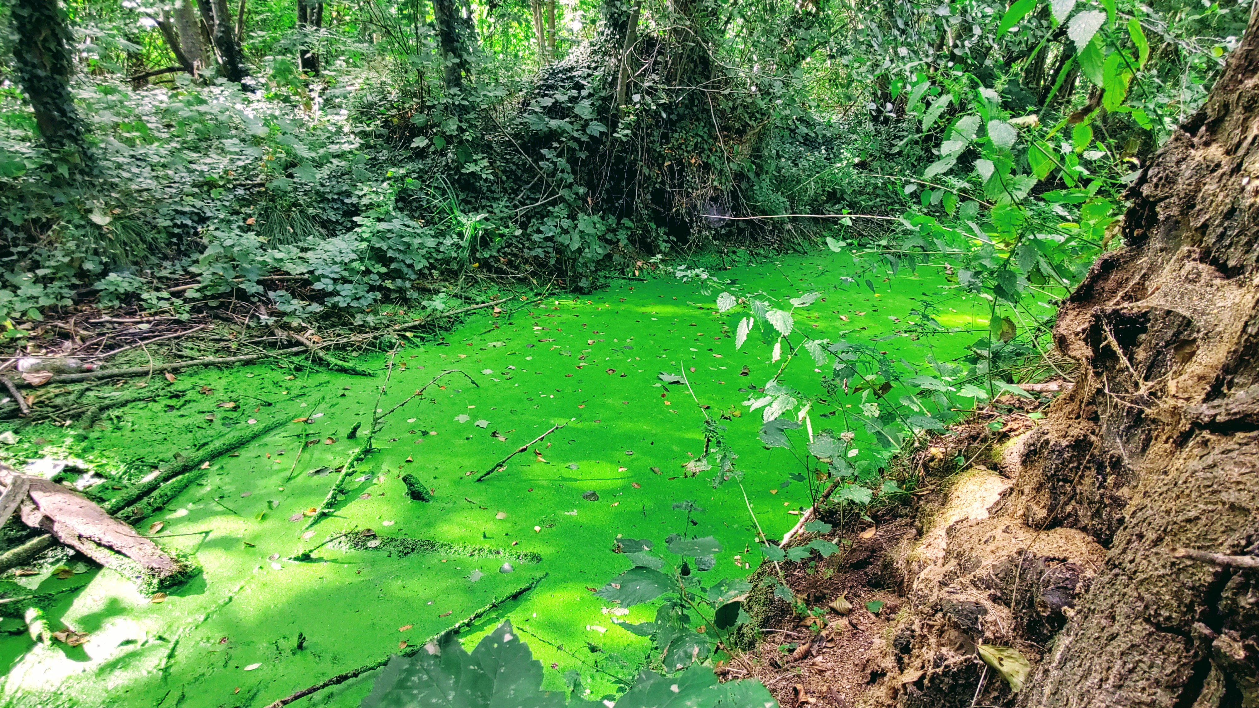 Photo n° 15 de l'avis de Polski.l fait le 02/09/2020 à 14:34