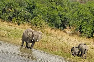 Bantu Safaris - Bantu African Travel image