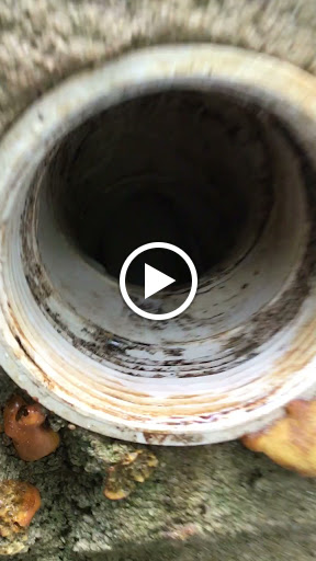 Plumber «Mr. Rooter Plumbing of Charlotte», reviews and photos, 9305 Monroe Rd Unit G, Charlotte, NC 28270, USA