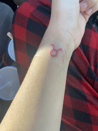 Explore tattoo background filler ideas, creative tattoo ideas in Delray Beach, available at Imaginarium ink