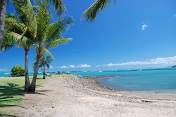Airlie Beach'in fotoğrafı imkanlar alanı