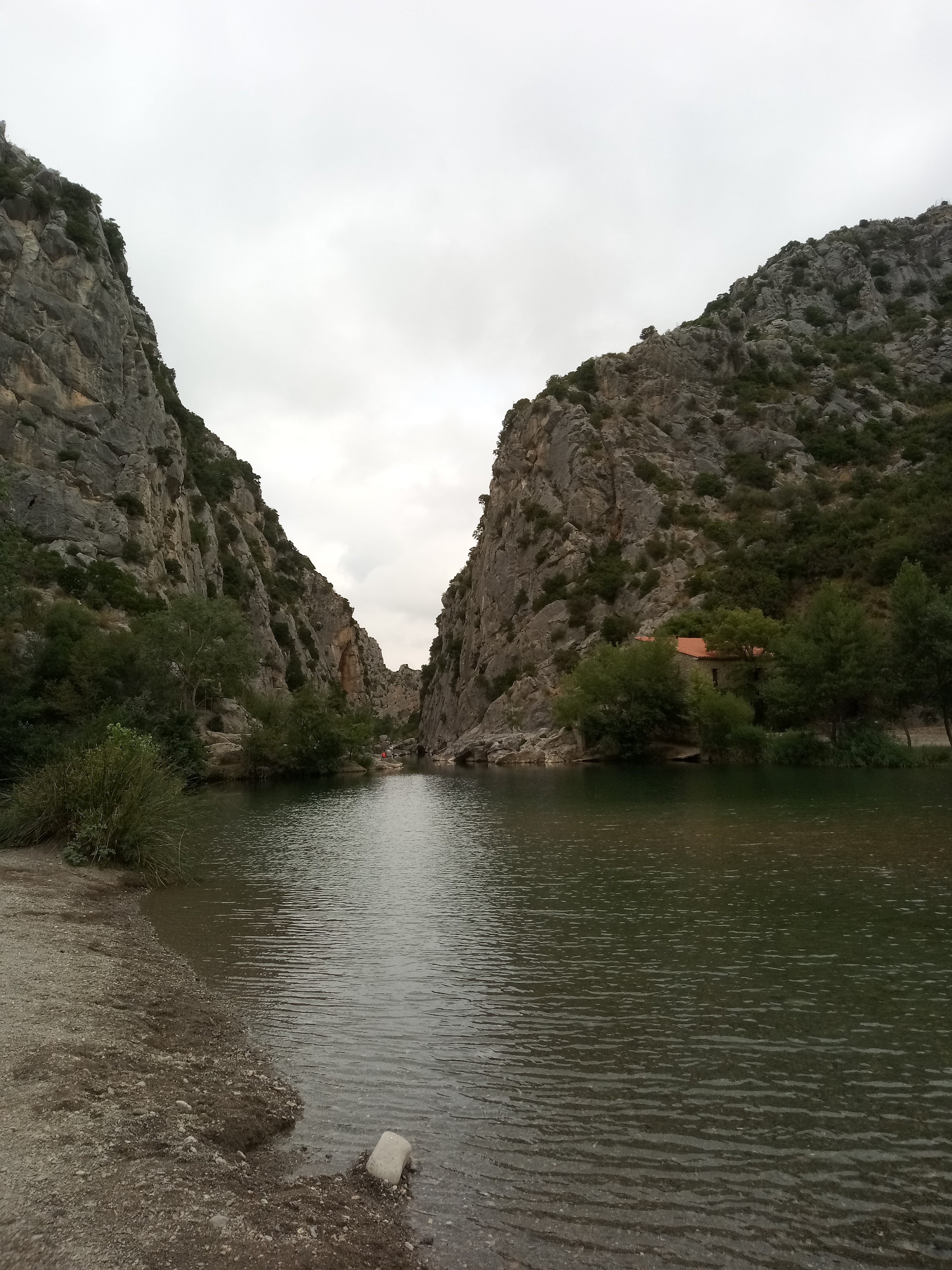 Photo n° 2 de l'avis de Sardin.a fait le 19/08/2020 à 13:09