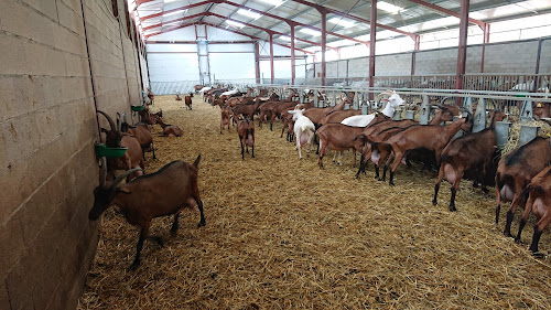 La Ferme de Letou - Vincent Valette à Saint-Cirq-Lapopie