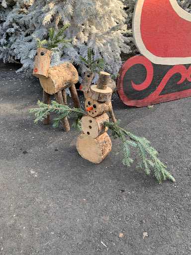 Garden Center «Pike Nurseries», reviews and photos, 615 W Crossville Rd, Roswell, GA 30075, USA